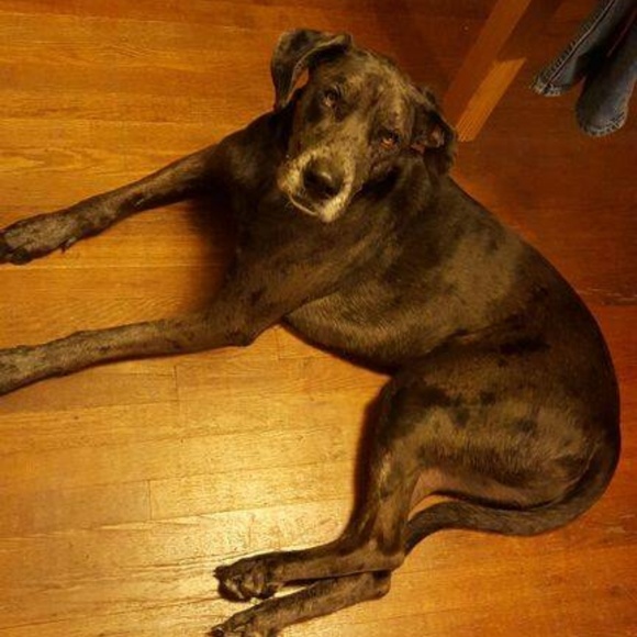 Meet your Posher, - Picture 2 of 2